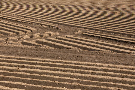 fresh made agricultural field textureの写真素材