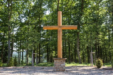 funeral forestの写真素材