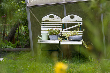 garden backgroundの写真素材
