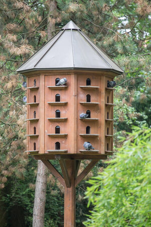 dovecoteの写真素材