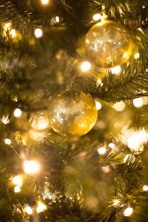 christmas tree backgroundの写真素材