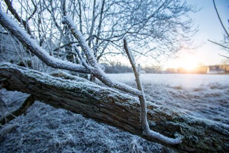 winter frost landscape with the sunの写真素材