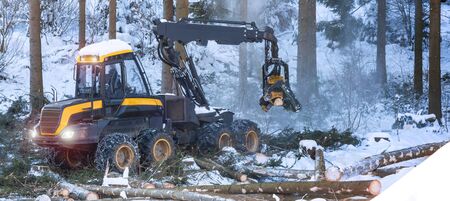 modern forestry machine in a winter forestの写真素材