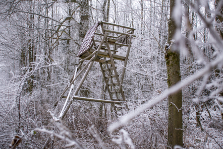hunting High seat in winter forestの写真素材