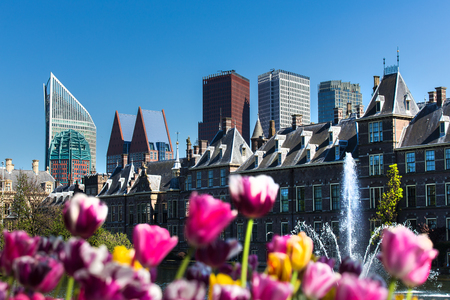 the hague city in the netherlands cityscapeの写真素材