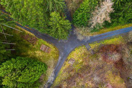 forest paths and wood stacks from aboveの写真素材