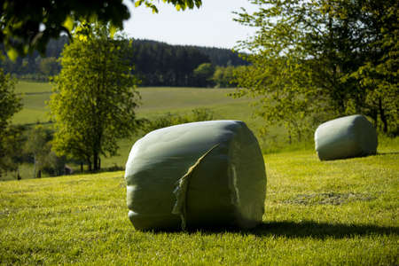 wrapped hay bales in a field