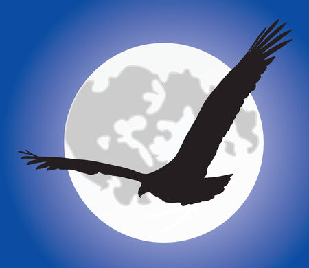 Black Eagle silhouette over a full moonのイラスト素材