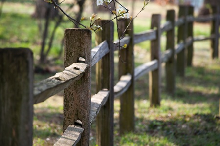 Wood fence with shallow depth-of-field.の写真素材