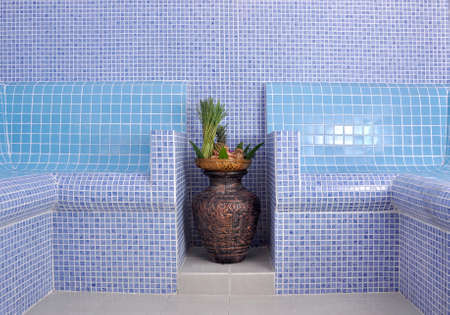 Steam roomのeditorial素材