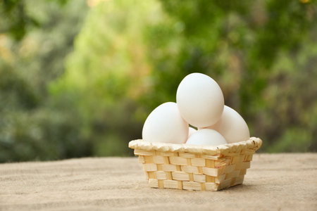 Eggs in a wicker basket on a natural background.の写真素材