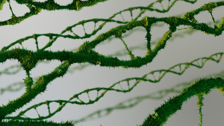 Genetics concept. 3D rendered illustration of DNA molecules in chromosomes.の写真素材