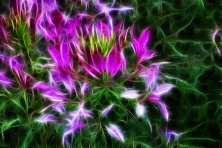 graphics flowersの写真素材