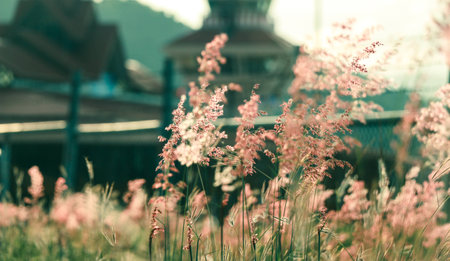 sunshine Flowersの写真素材