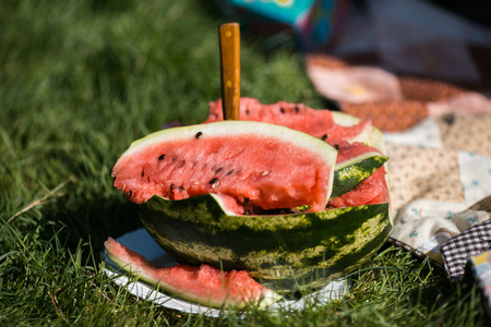 Half of watermelon on the green grass