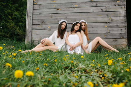 three beautiful girls on the background of a wooden houseの写真素材