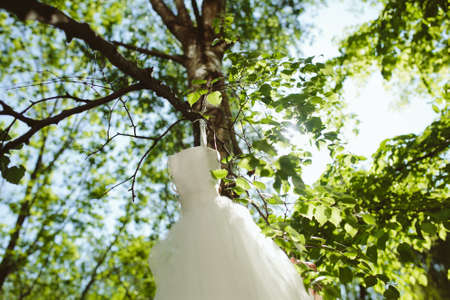 Wedding dress hanging on a tree in the parkの写真素材