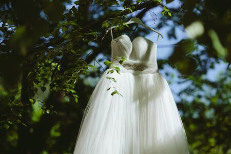 Wedding dress hanging on a tree in the parkの写真素材