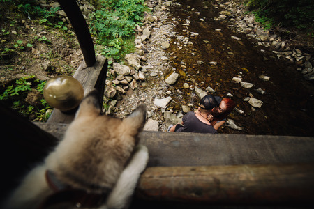 dog looking from the bridge a couple near the riverの写真素材