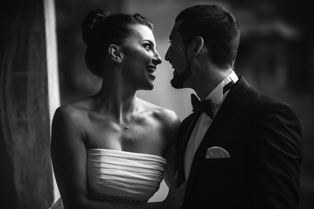 Beautiful wedding couple in each other's arms in the park, close angleの写真素材