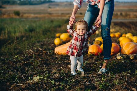 mother teaching her daughter to walk on the field with pumpkins, Halloween eveの写真素材