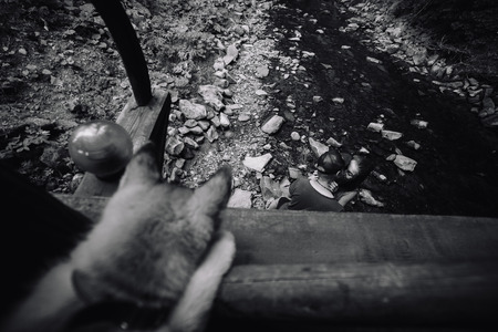 dog looking from the bridge a couple near the riverの写真素材