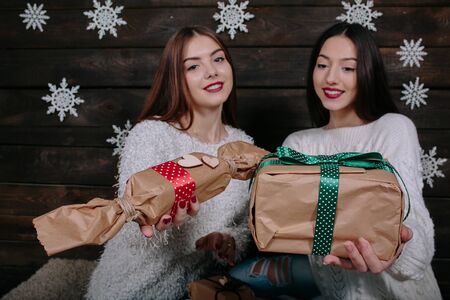 Portrait of two pretty young girls, girls offer gifts to cameraの写真素材