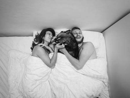 Young adult heterosexual couple lying on bed in bedroom, together with a dogの写真素材