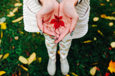 girl holds in hands beautiful autumn leafの写真素材