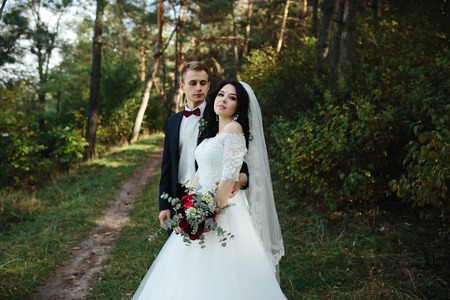 Beautiful wedding couple posing in a forestの写真素材