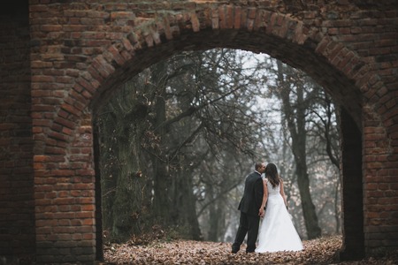 happy bride and groom walking in the autumn forestの写真素材