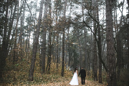happy bride and groom walking in the autumn forestの写真素材