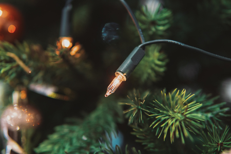 Christmas tree branch with toysの写真素材