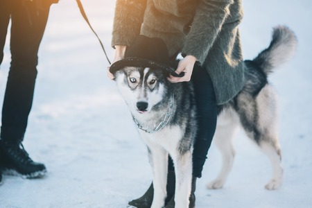 couple playing with the dog in the parkの写真素材