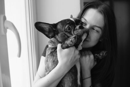 beautiful woman playing with small dogの写真素材