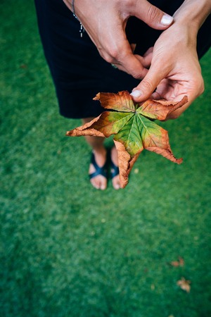 Woman hold nice yellow leaf in hand.の写真素材
