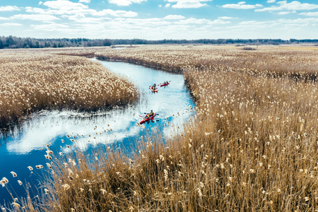 Group of people in kayaks among reeds on the autumn river.の写真素材