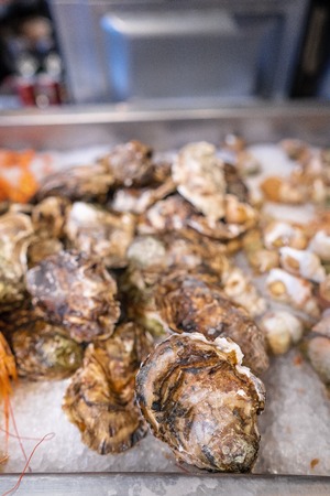 Fresh closed oysters on counter with iceの写真素材