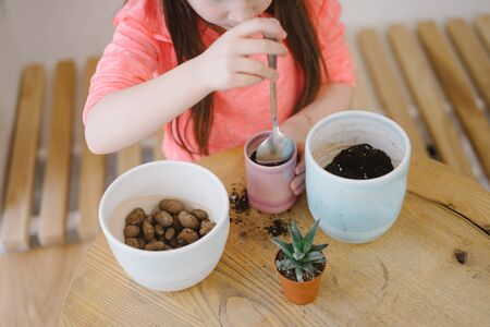 Little girl replant aloe. Little girl digs up the ground for rosetting with a spoonの写真素材