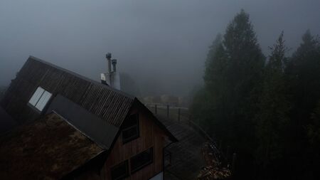 Trees and house in fogの写真素材