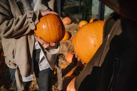 Girls holds pumpkins in hands. Outdoor photo.A beautiful young girls sitting on hay stacks. The...