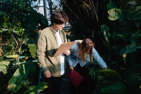 Young agricultural engineers talk in greenhouseの写真素材