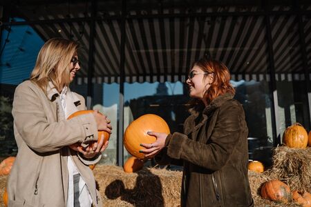 Girls holds pumpkins in hands. Outdoor photo.