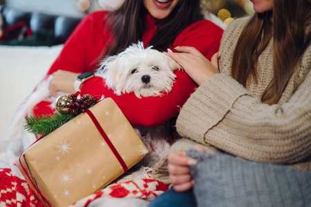 Two girls with a small dog are sitting on the couch on New Years Eve.