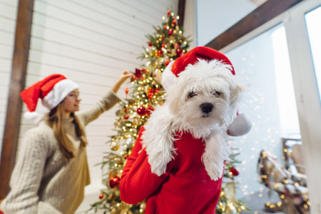 Girl holding a small dog in her arms on new years eveの写真素材