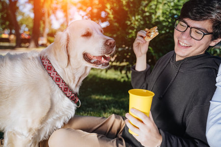 Man feeds his dog snacks for obedience in parkの写真素材