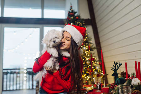 Girl holding a small dog in her arms on new years eveの写真素材