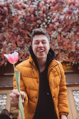 Handsome man have a flower, pink tulip to girlfriendの写真素材