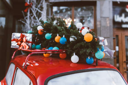 Red retro car with a Christmas tree fir tied to the roof.の写真素材