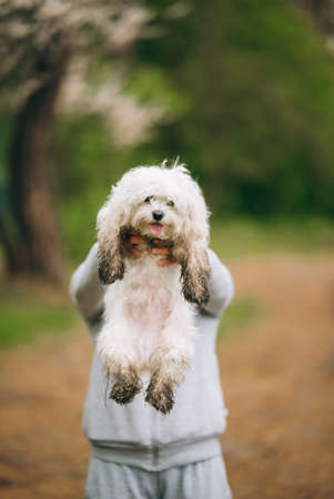 Beautiful woman holding a dog in her armsの写真素材